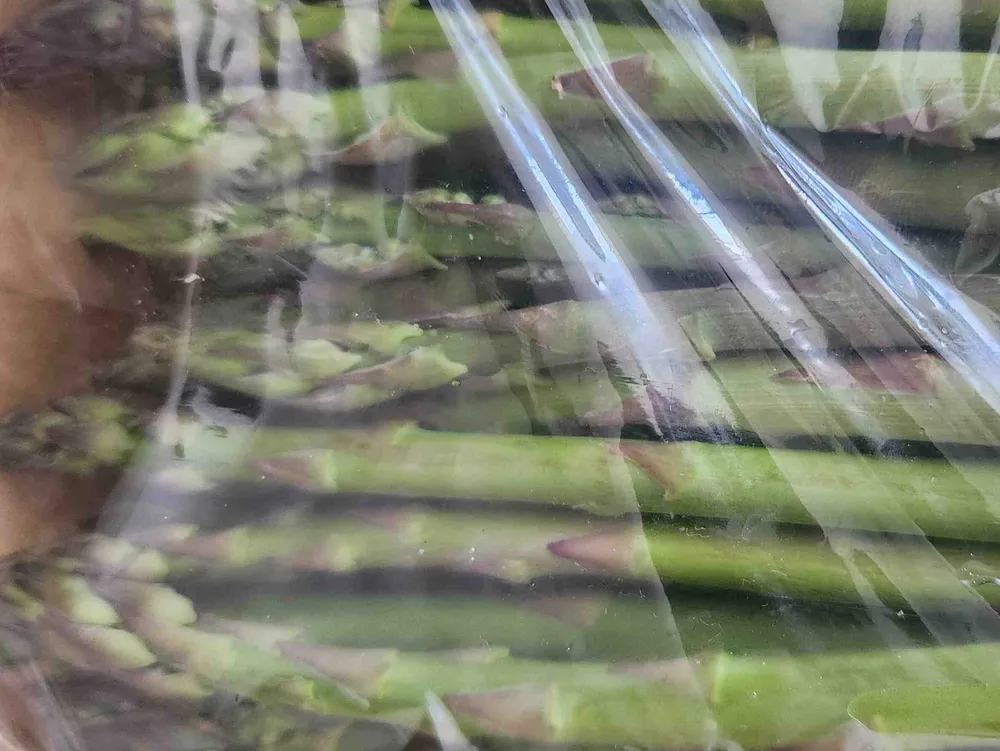 Grüner Spargel