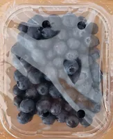 Kulturheidelbeeren