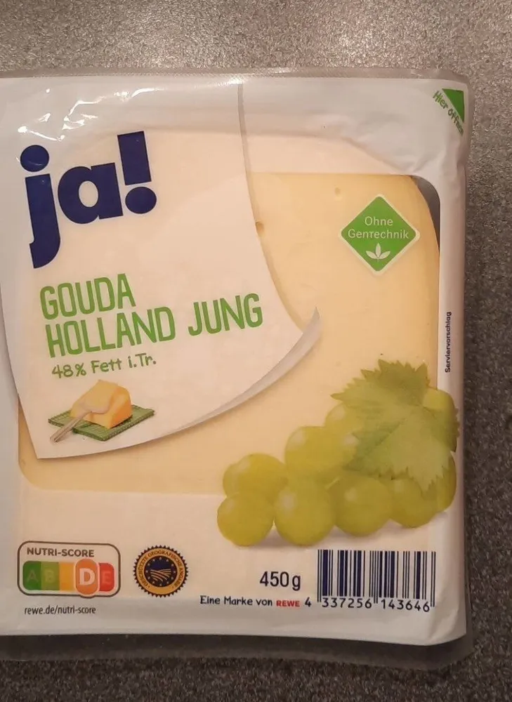 Gouda Holland jung