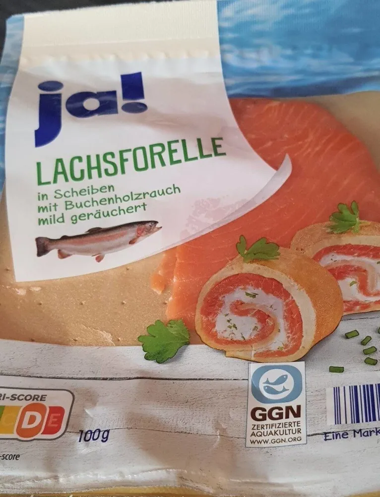 Lachsforelle