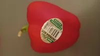 Paprika rot frisch