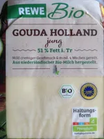 Gouda Holland jung