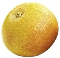 Grapefruit