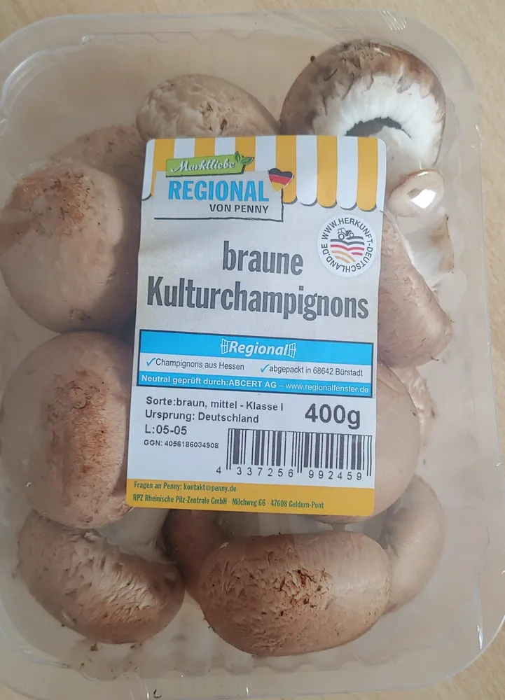 braune Kulturchampignons