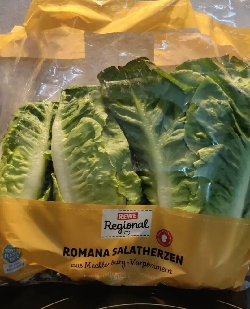 Romana Salatherzen