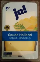 Gouda Holland
