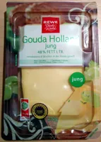 Gouda Holland jung