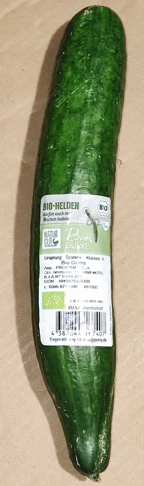 Bio-Gurke