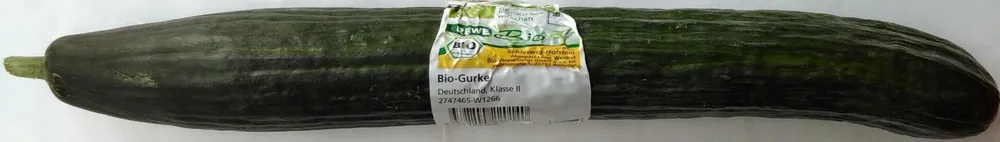 Bio-Gurke