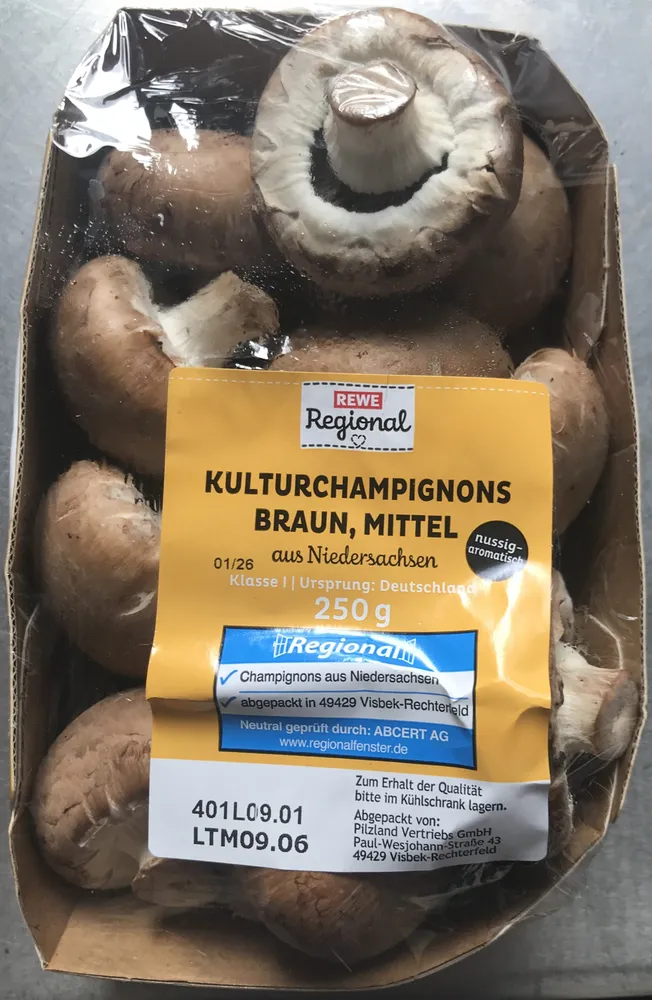 Kulturchampignons, braun, mittel