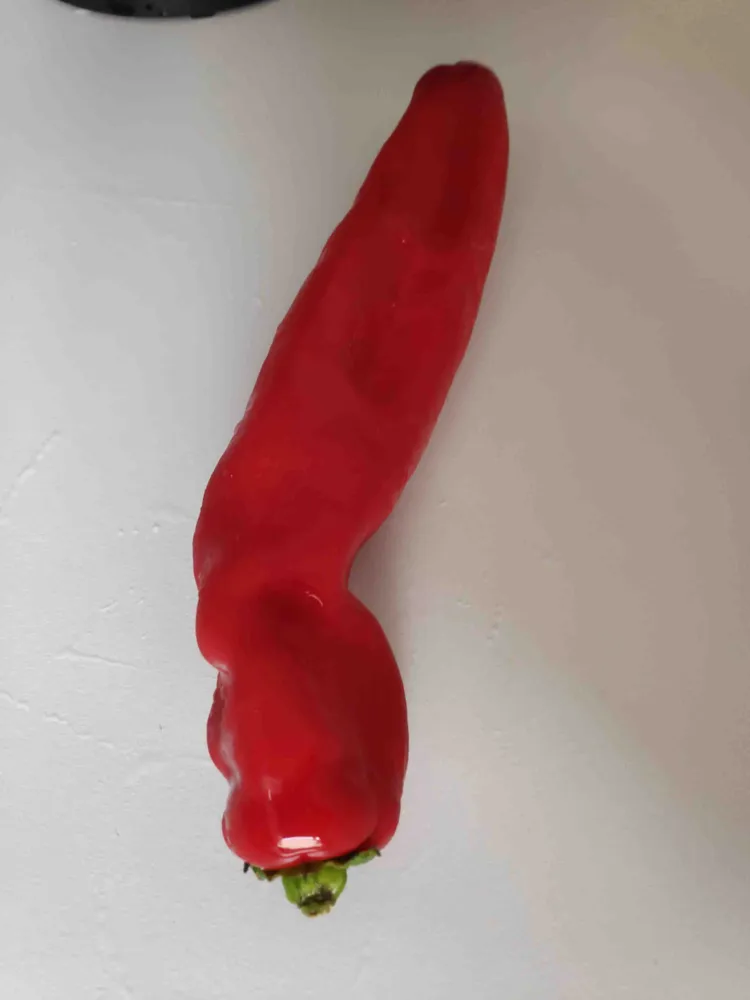 Paprika Sweet Palermo