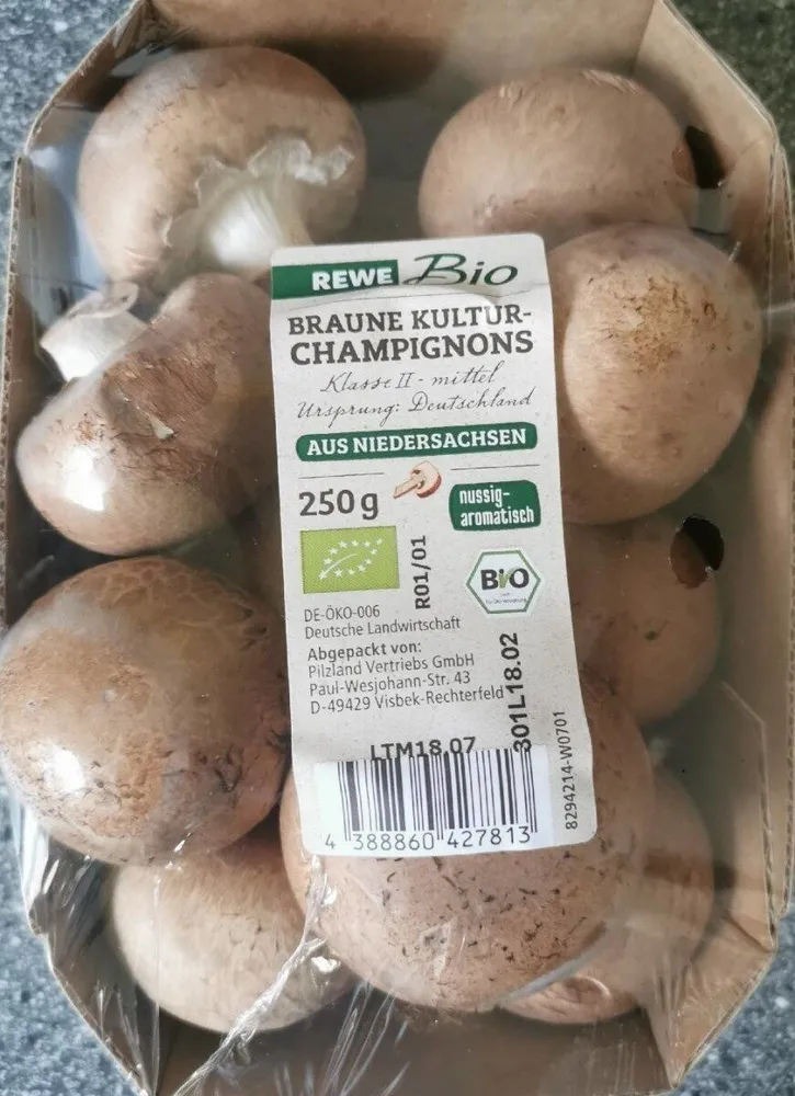 Braune Kulturchampignons