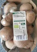 Braune Kulturchampignons