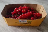 Johannisbeeren