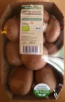 Braune Kultur-Champignons