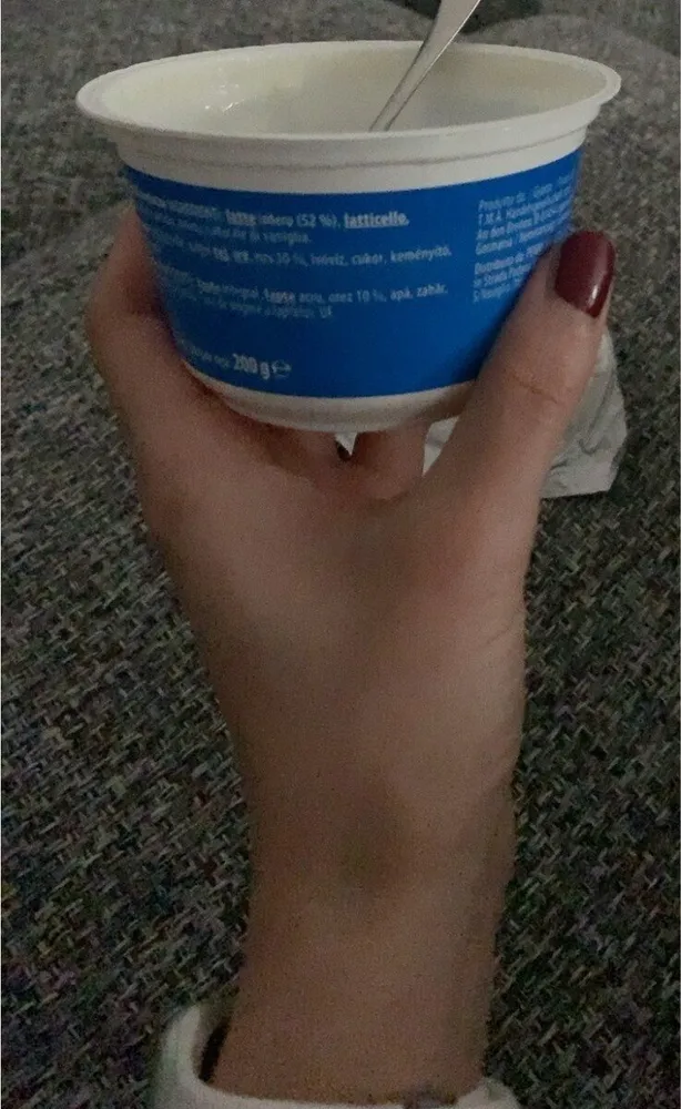 Rice pudding