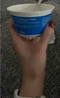 Rice pudding