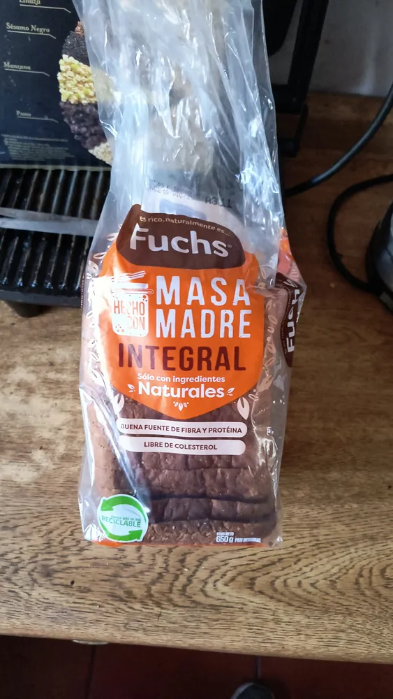 MASA MADRE INTEGRAL