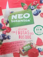 Gelatina con frutas del bosque