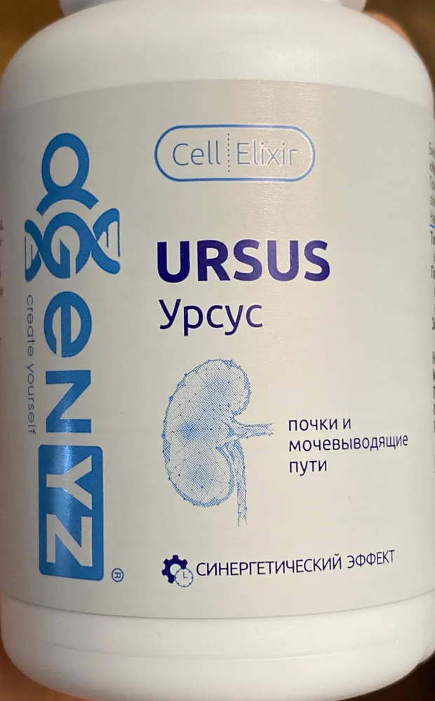 Ursus / Урсус
