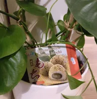 Japanese Style Sesame Mochi