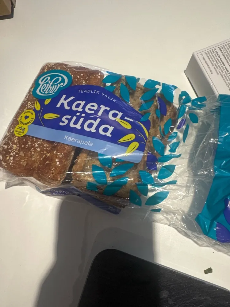 Kaerasüda