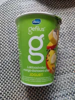 Jogurtas be laktozės su mangais, bananais ir šalavijo sėklomis