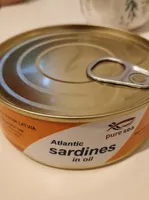 Atlantic Sardines in oil