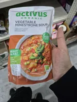 Vegetable Minestrone Soup