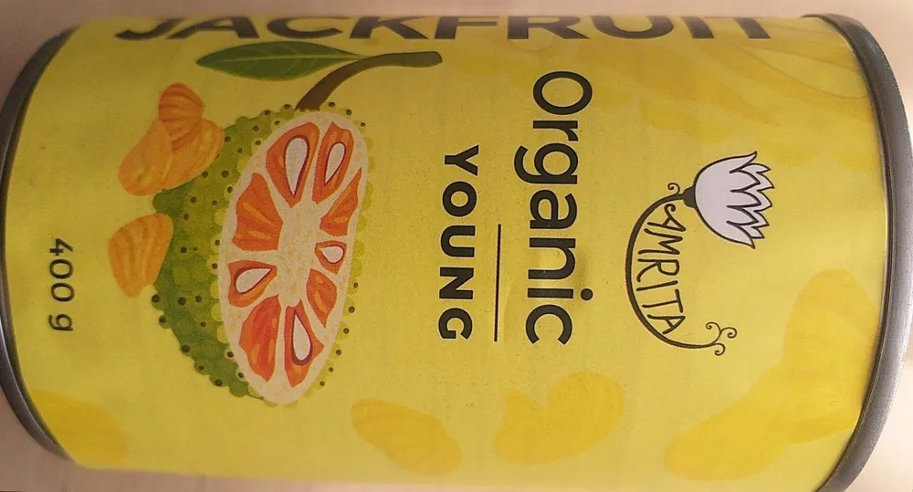 Fruit Jeune jacquier biologique en saumure