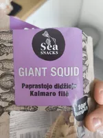 GIANT SQUID