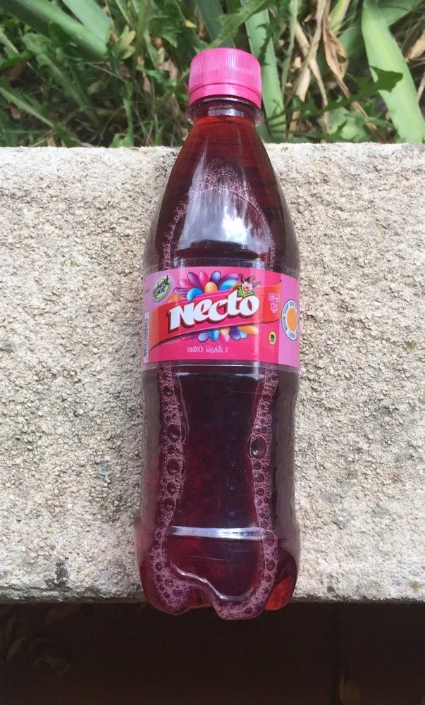 Necto