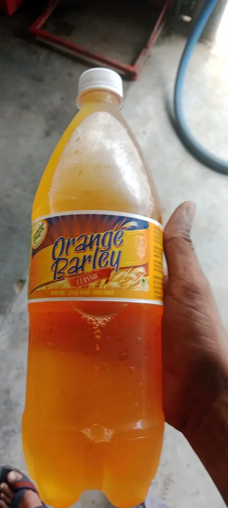 Orange Barley classic