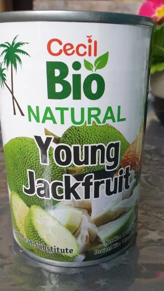 Young Jackfruit