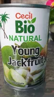 Young Jackfruit