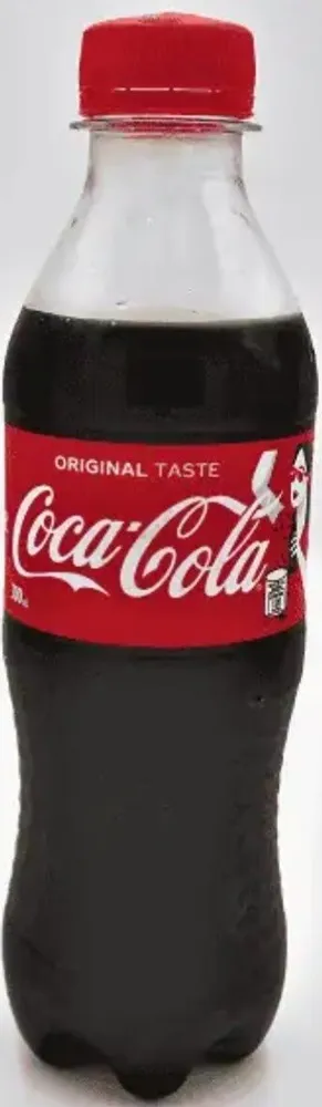 Coke Mismo 290mL