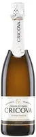Vin mousseux demi-sec