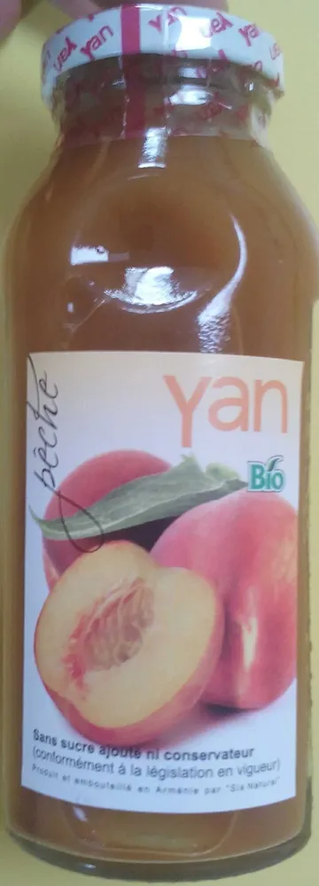 Pêche