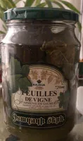 Feuille de vigne