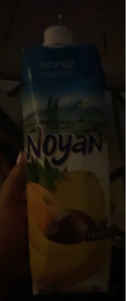 Noyan