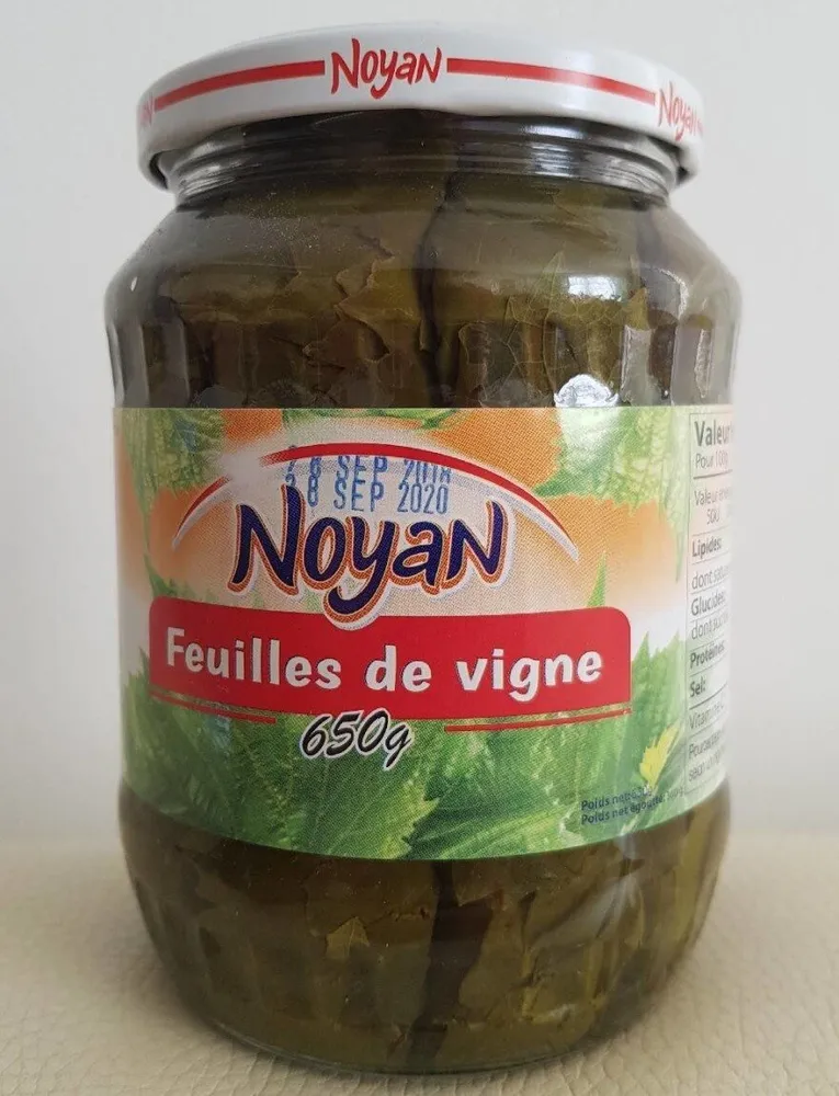 Feuilles de vigne