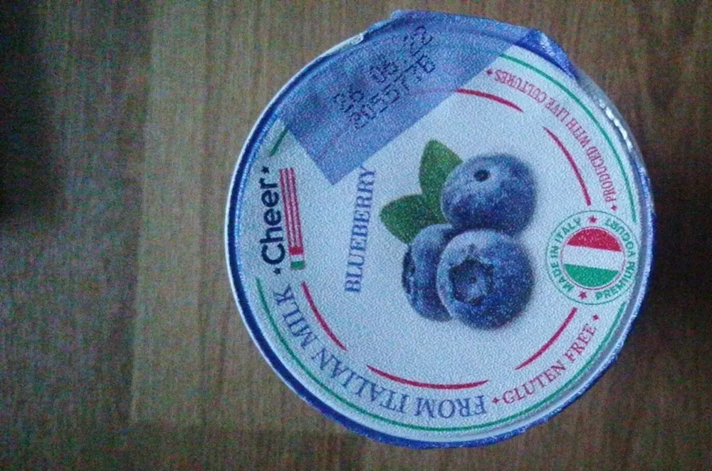 Cheer Yoghurt Blueberry