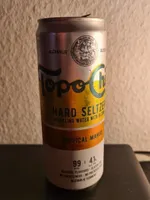 Topo Chico Hard Seltzer