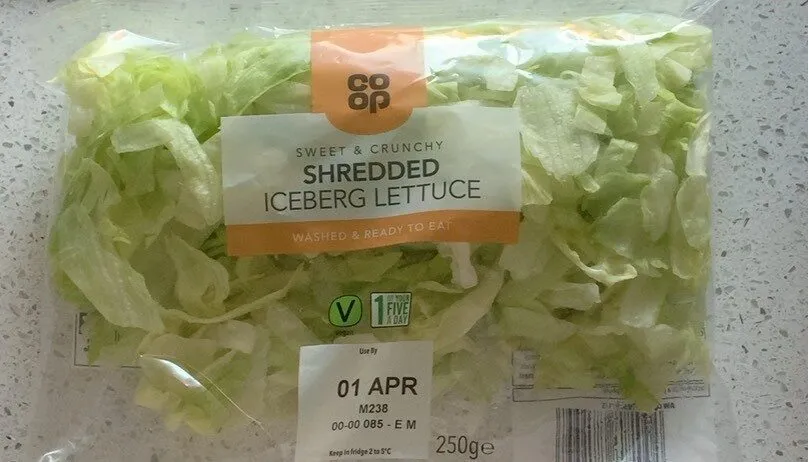 Iceberg Lettuce
