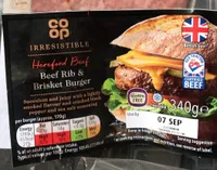 Beef Rib & Brisket Burger