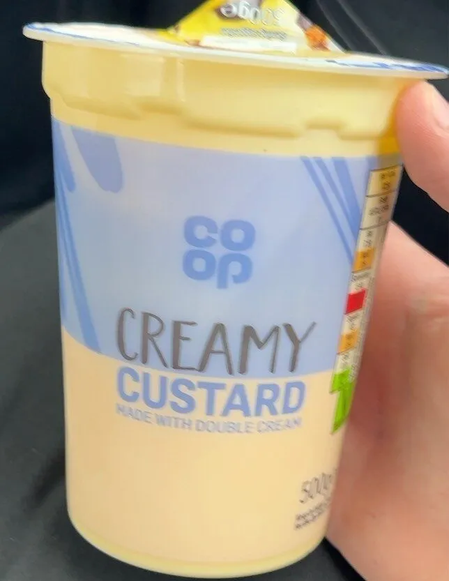 creamy custard
