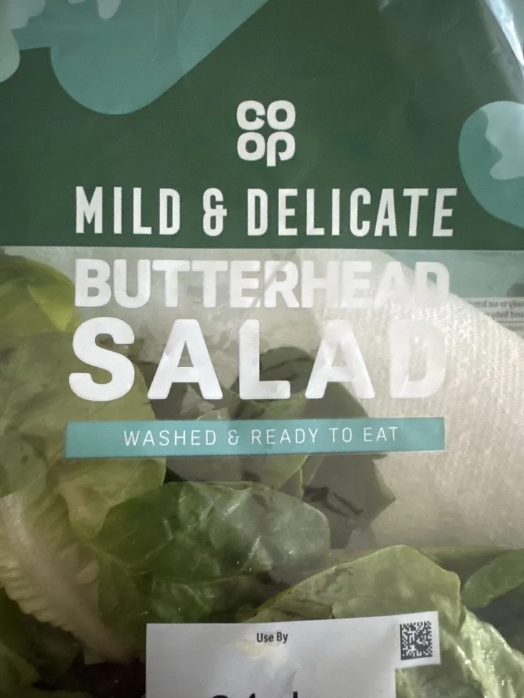 Butterhead Salad