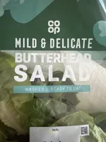 Butterhead Salad