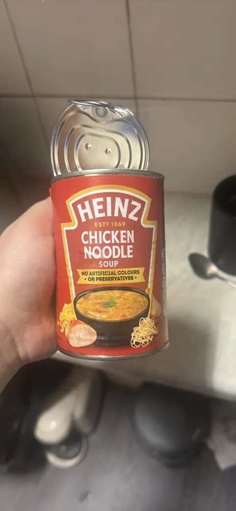 CHICKEN NOODLE SOUP