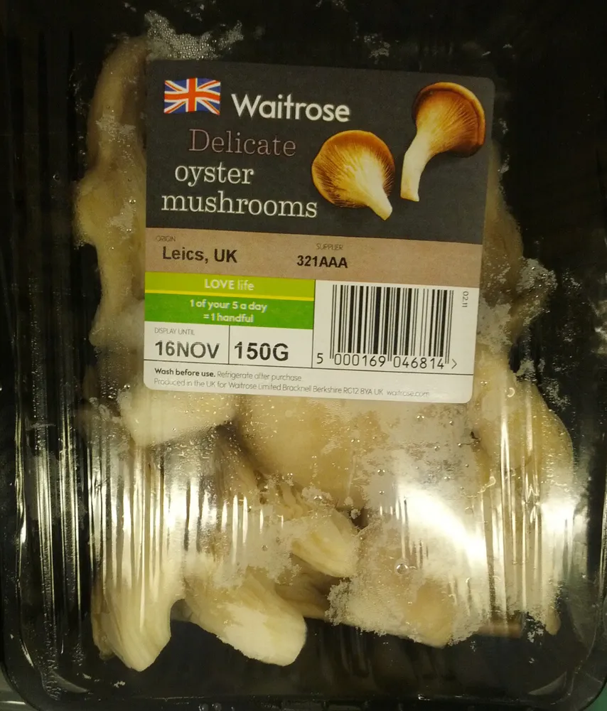 Delicate oyster mushrooms